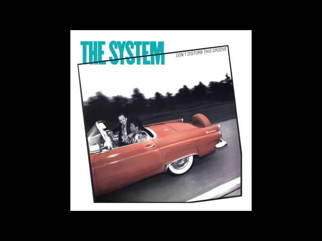 The System - Don't Disturb This Groove class=
