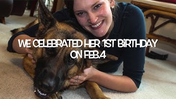 Assignment #3- Digital Storytelling