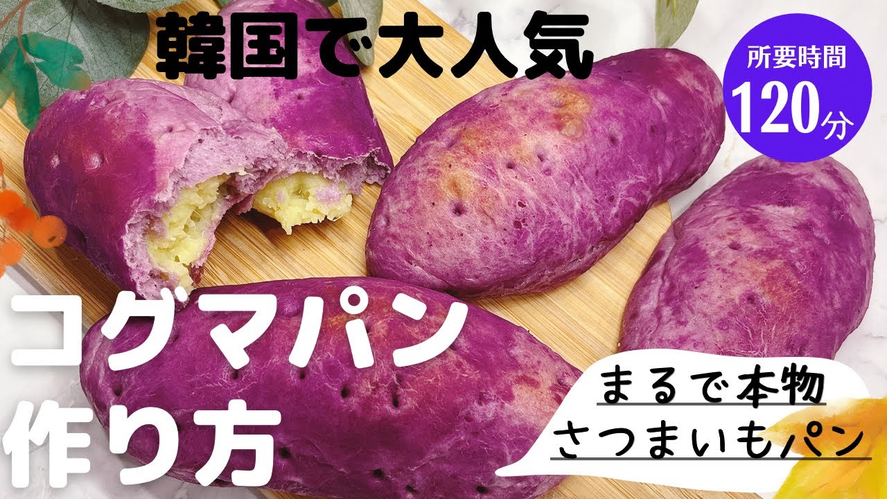 【고구마빵】韓国で大人気コグマパン作り方簡単/本物そっくりさつまいもパン作り方