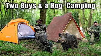 Strange Noises Whilst Woodland Camping