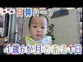 1歳6か月男児との日本帰省中なんちゃないとある1日。ミナペルホネン「つづく展」に行った日のこと。【韓国在住・一時帰国・한일부부】