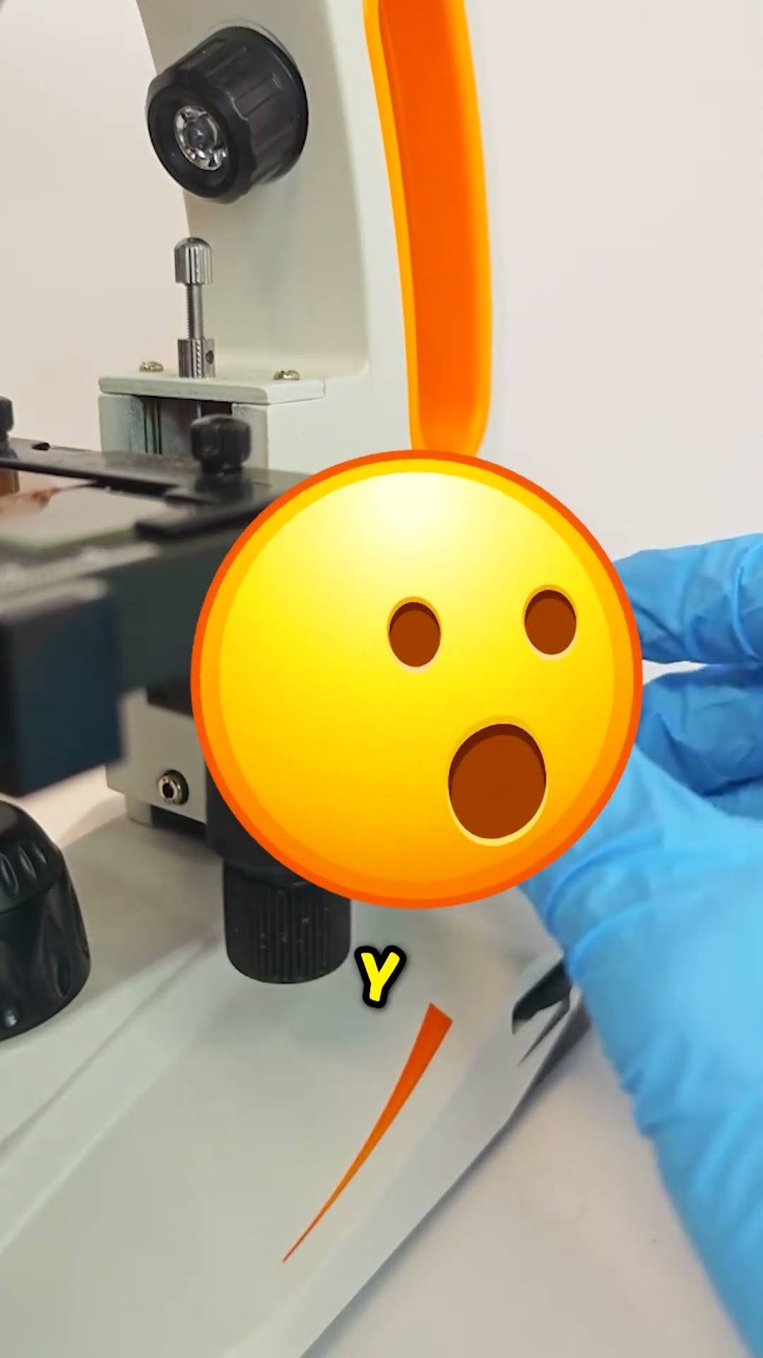 ¡Cómo se ve la Nutella bajo el microscopio! ??