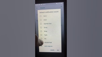 Wiko U307AS Notifications
