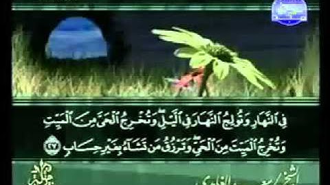 سورة أل عمران من الآية  21 الى الآية 31 .flv