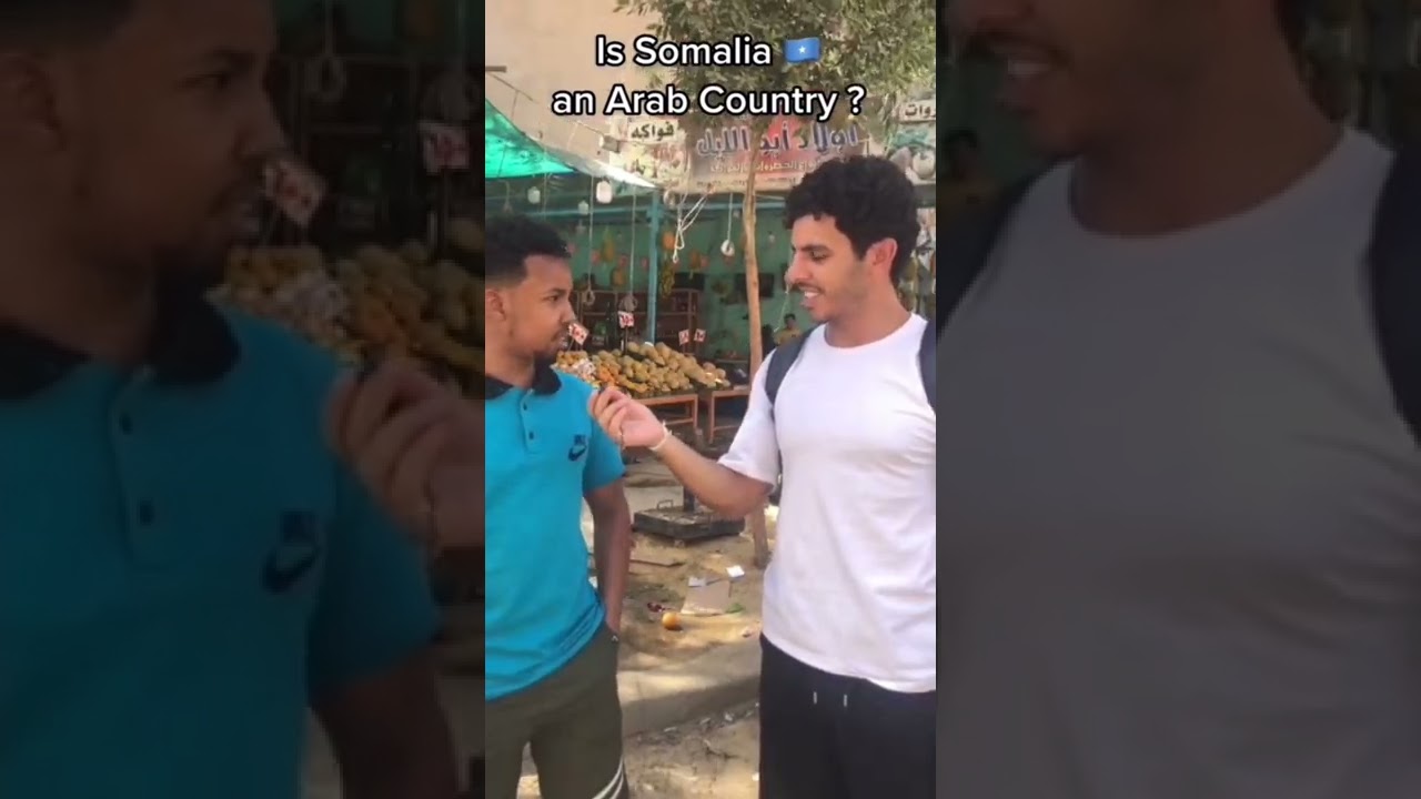 Are Somali people Arabs or Black Africans? 🇸🇴✊✊🏿⁉️ Dadka Soomaaliyeed ma Carab baa mise African?