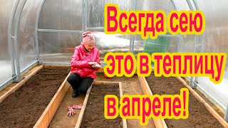 Что посеять в апреле в теплицу?