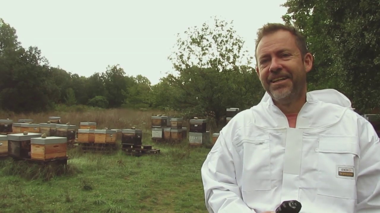 L'apiculture face au changement climatique