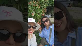#subscribe #keepsuporting #naturelover #litchilover#shortvideo