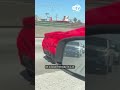 Furry Ferrari zooms down L.A. freeway