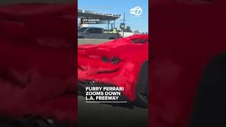 Furry Ferrari zooms down L A freeway