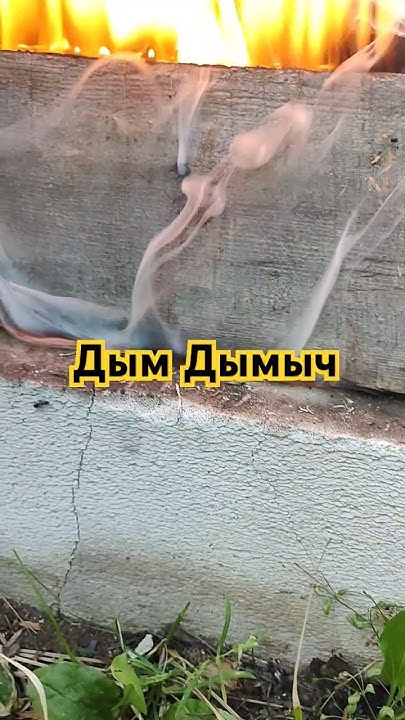 Дымок и Огонёк #тренды #nature #природа #лето #дача #шашлыки #мангал # ...