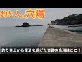 釣り禁止から奇跡の復活を遂げた「イカ」が釣れまくる釣り人の聖地はここ!