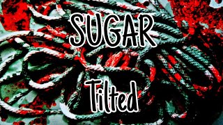 SUGAR - Tilted (Lyric Video)