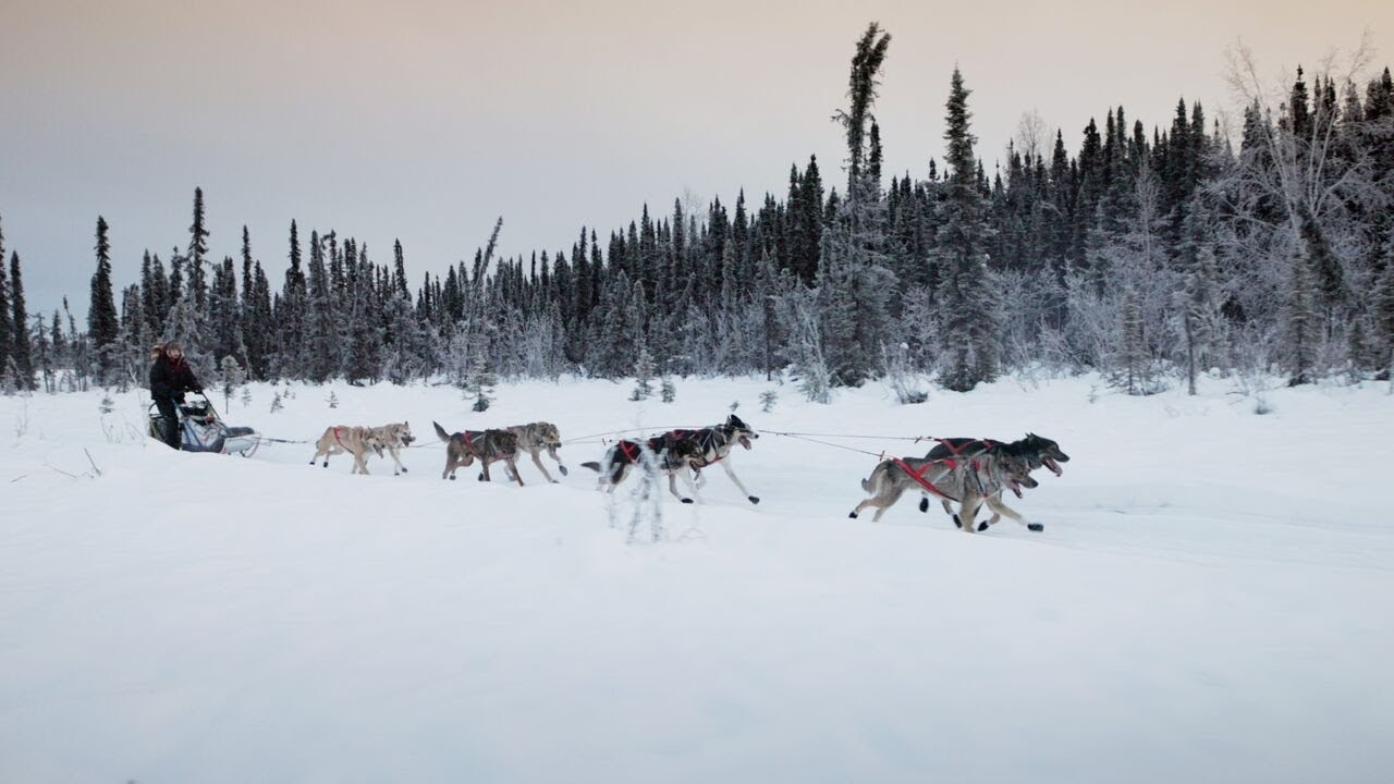 Watch how Amazon delivers to customers in rural Alaska