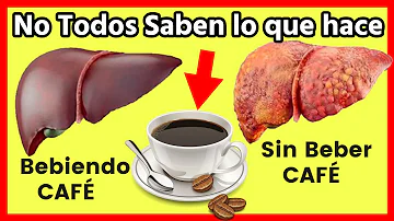 ¿El café cuenta como agua?