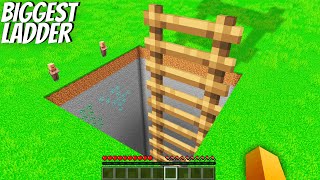 I found a BIGGEST LADDER in Minecraft ! Where do lead GIANT LADDER ?