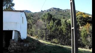 Vale Torta Video.avi