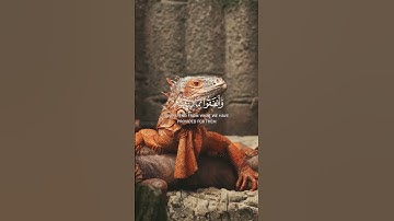 قران كريم الفضائيه #arabic #قرآن #قرآن #قرآن_كريم #holyquran #القرآن #القرآن #quran #اكسبلور #hijab