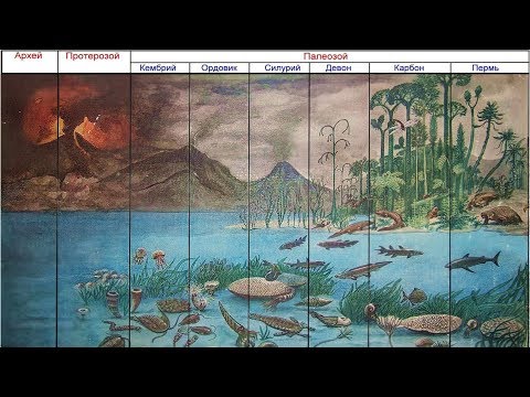 Кислород и происхождение сложной жизни (рассказывает палеонтолог Андрей Журавлёв)