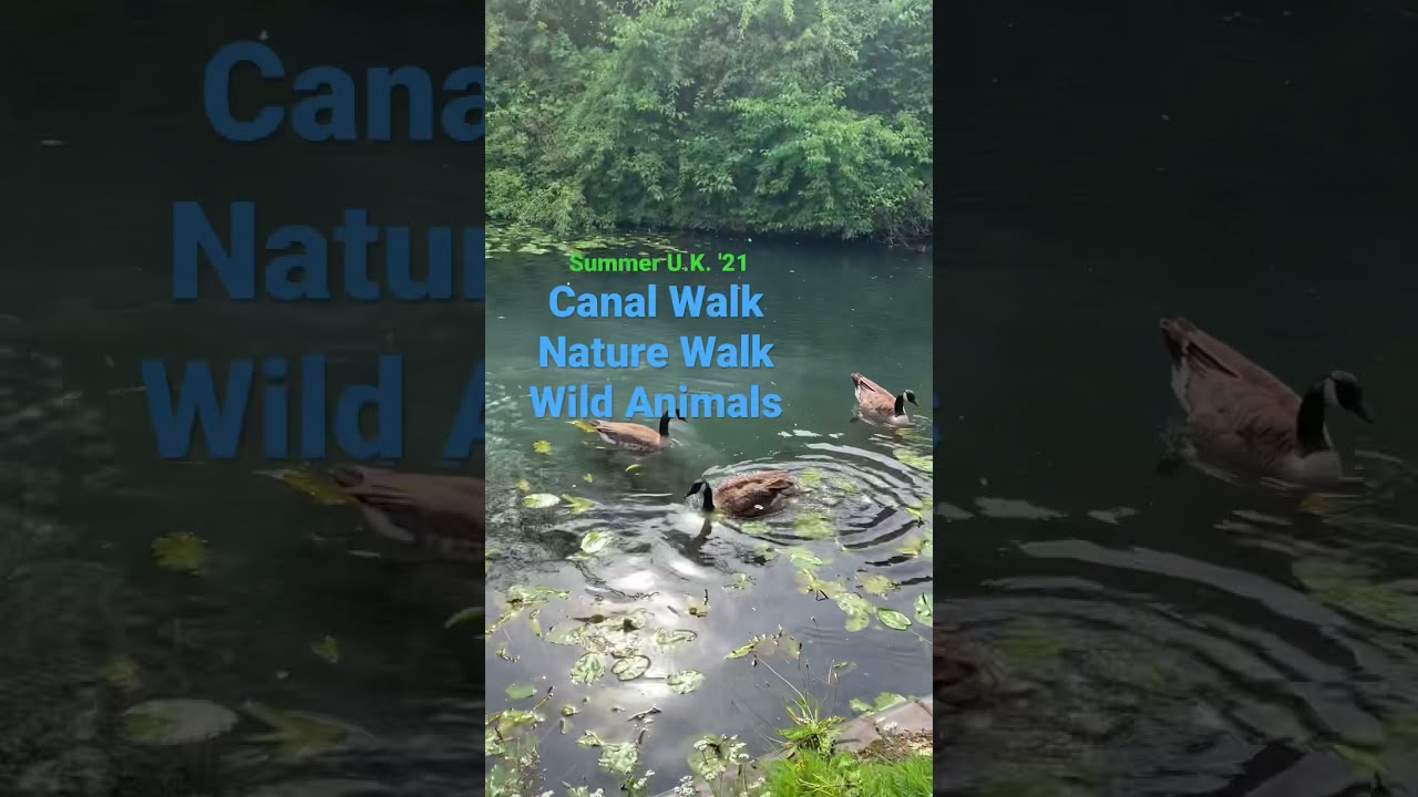 Canal Walk seeing nature's best and wildlife animals