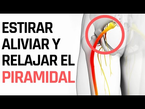 Cómo Aliviar el Dolor del Músculo Piramidal y Ciática: Estiramientos y Ejercicios Efectivos