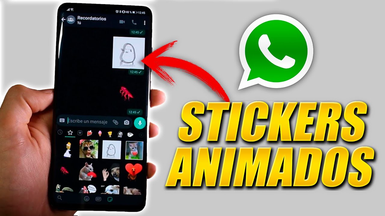 CREAR STICKERS ANIMADOS Para WHATSAPP YouTube