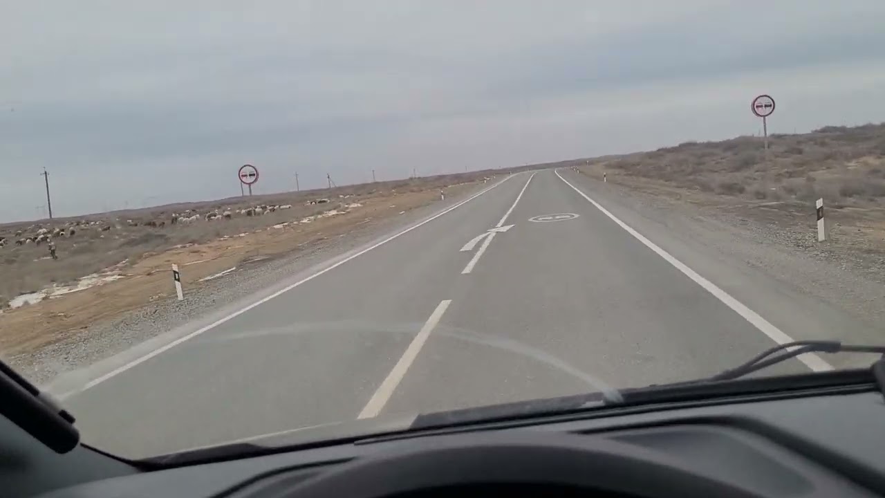 Антифриз в поддоне причины