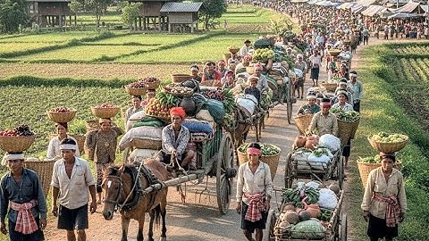 Chợ phiên biên giới Việt Nam - Lào Bán Toàn Đặc Sản Mang Từ Bên Lào Sang
