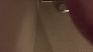 IMG 7046 23:27 9 OCT 2026