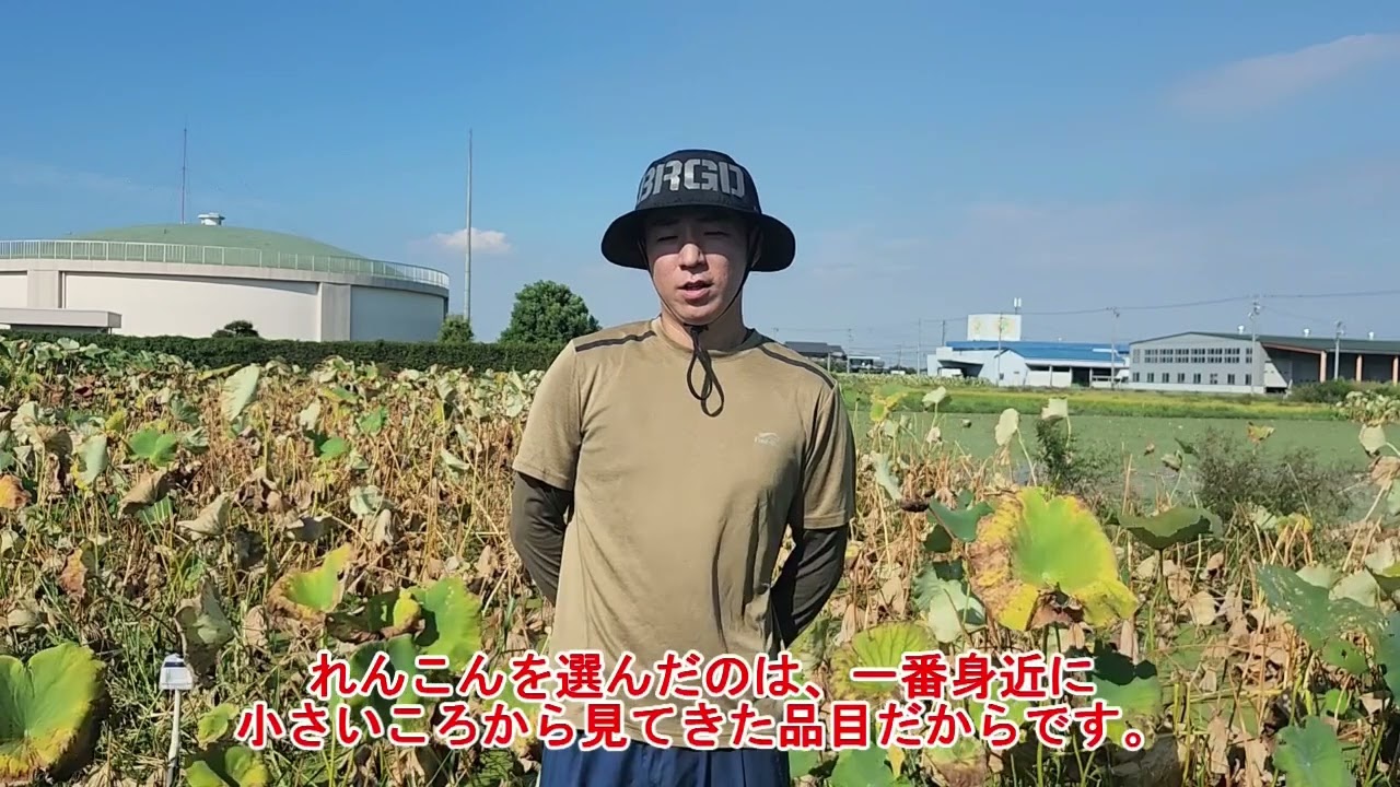 れんこん道場（新規就農支援事業） - JAあいち海部