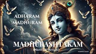 Adharam Madhuram Lofi Mix (Slowed & Reverb) | Krishna Bhajan | Bhakti Song | Madhurashtakam Lofi