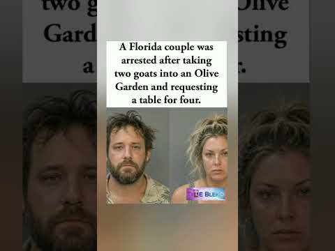 🐐💔Table for four, please Two humans and two goats Arrested #florida #fyp #Viral #Shorts