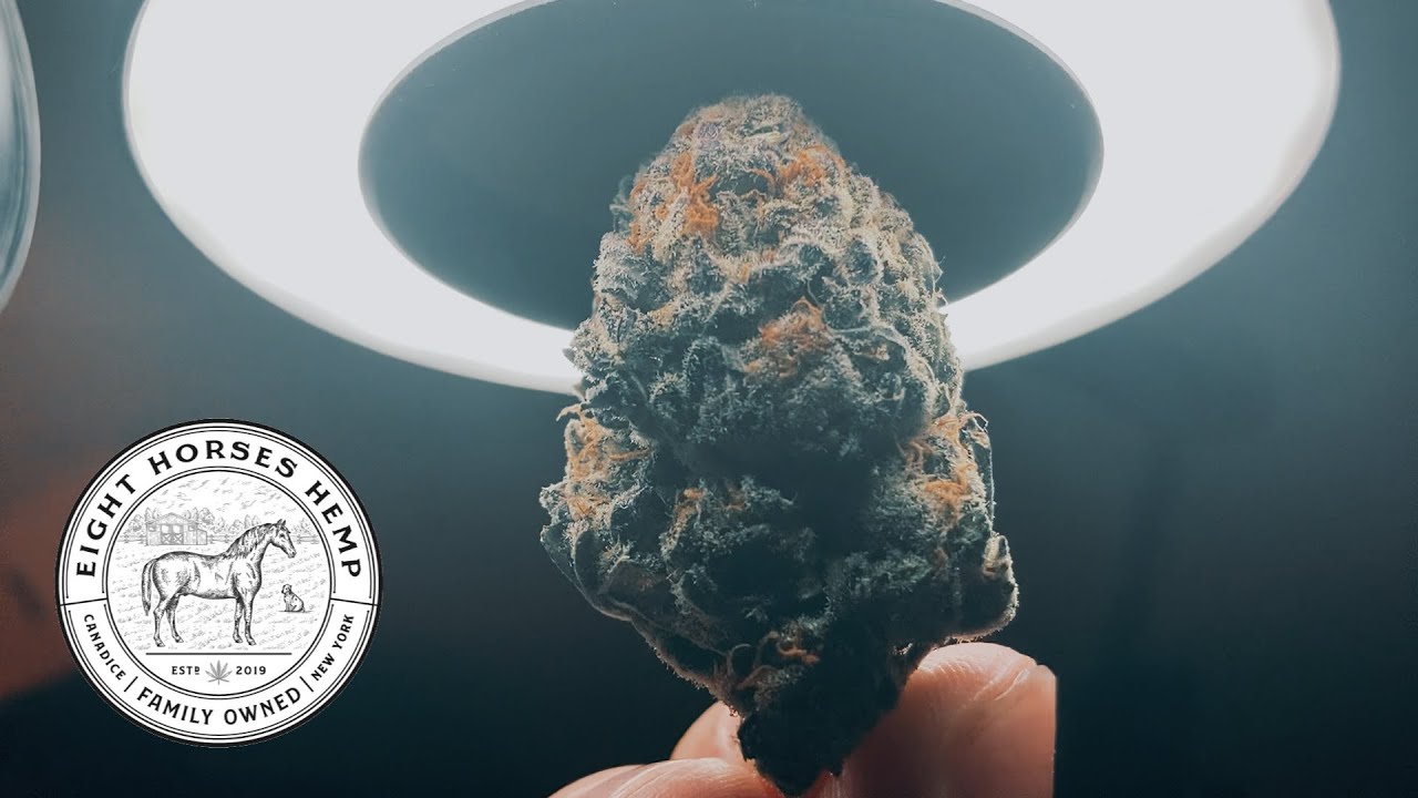 Sunflower Diesel THCa by Eight Horses Hemp