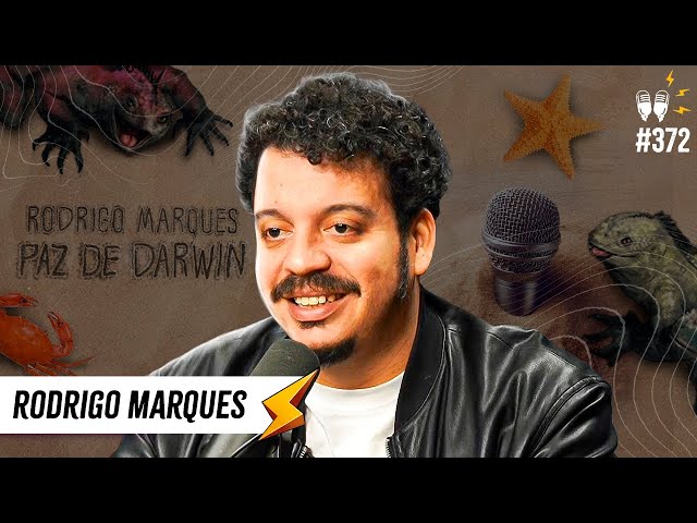 RODRIGO MARQUES - Flow #372 class=