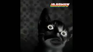 All Preview 2 Numa Cat Becoming Uncanny Deepfake