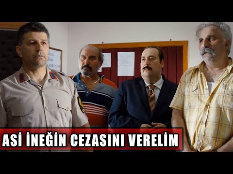 Büst Meselesi Köyü