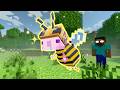 Bee Bee Axolotl [Minecraft & Roblox original animation compilation]