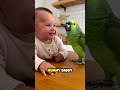 Baby with parrot #baby #shorts