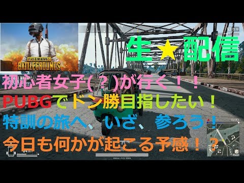 Pubg Mobile生放送 れいしー世界大会出場決定 15時からカスタムサーバーでドン勝を目指せ Youtube