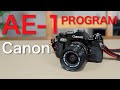 Canon AE-1 PROGRAM - Photographing Kiyosato, Chausuyama Zoo　キヤノン AE-1 プログラム - 清里・茶臼山動物園を撮る