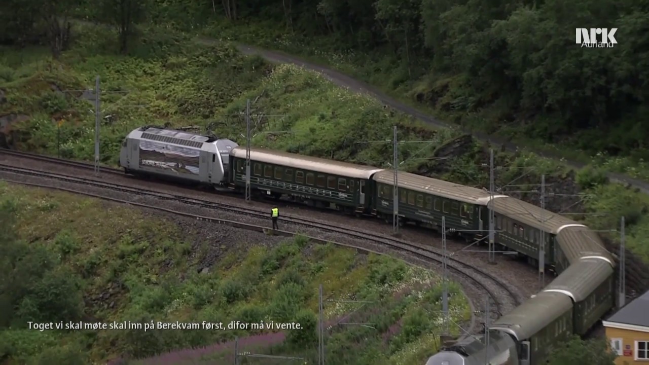 Flåmsbanevisen (Johnsen sitt tog)