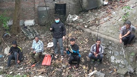 Địa điểm câu cá miễn phí ở Long Xuyên - Bình Giang