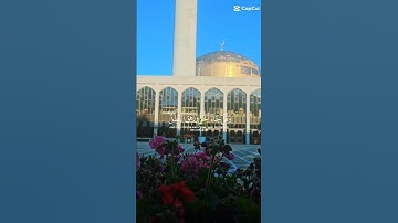 تلاوة عطرة للشيخ ماهر المعيقلي ماتيسر من سورة  الإسراء
