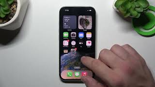 How to Manage Apple Wallet on iPhone 15?
