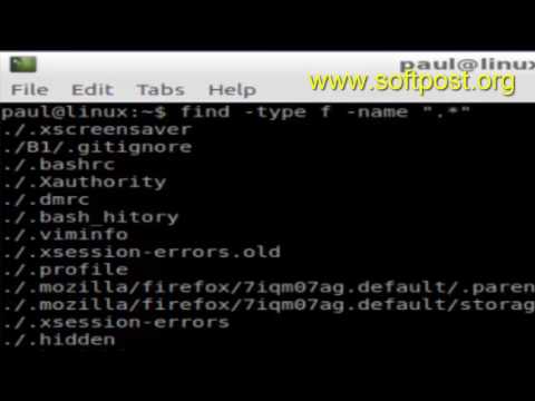 How to find all hidden files using find command in Arch Linux