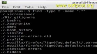 How to find all hidden files using find command in Arch Linux