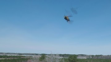 WASP ATTACK DRONE