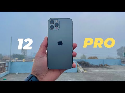 iPhone 12 Pro camera test in 2023 | dev