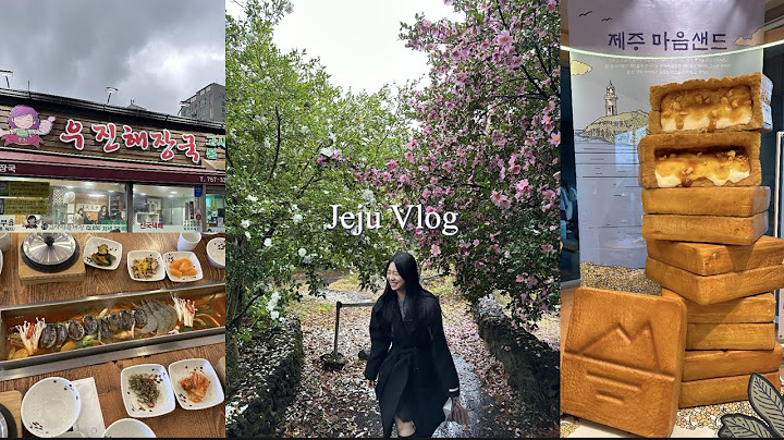 [vlog] 2박3일 제주여행 브이로그💙ㅣ3일차ㅣ비와도 좋네ㅣ파르나스호텔 제주ㅣ카멜리아힐ㅣ우진해장국, 마음샌드, 갈치조림, 흑임자라떼ㅣ커플여행, 더블데이트ㅣ대기업비서의 휴가