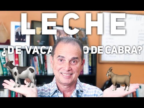 Vídeo: 4 Razones Por Las Que El Queso De Cabra Es Mejor Que El De Vaca